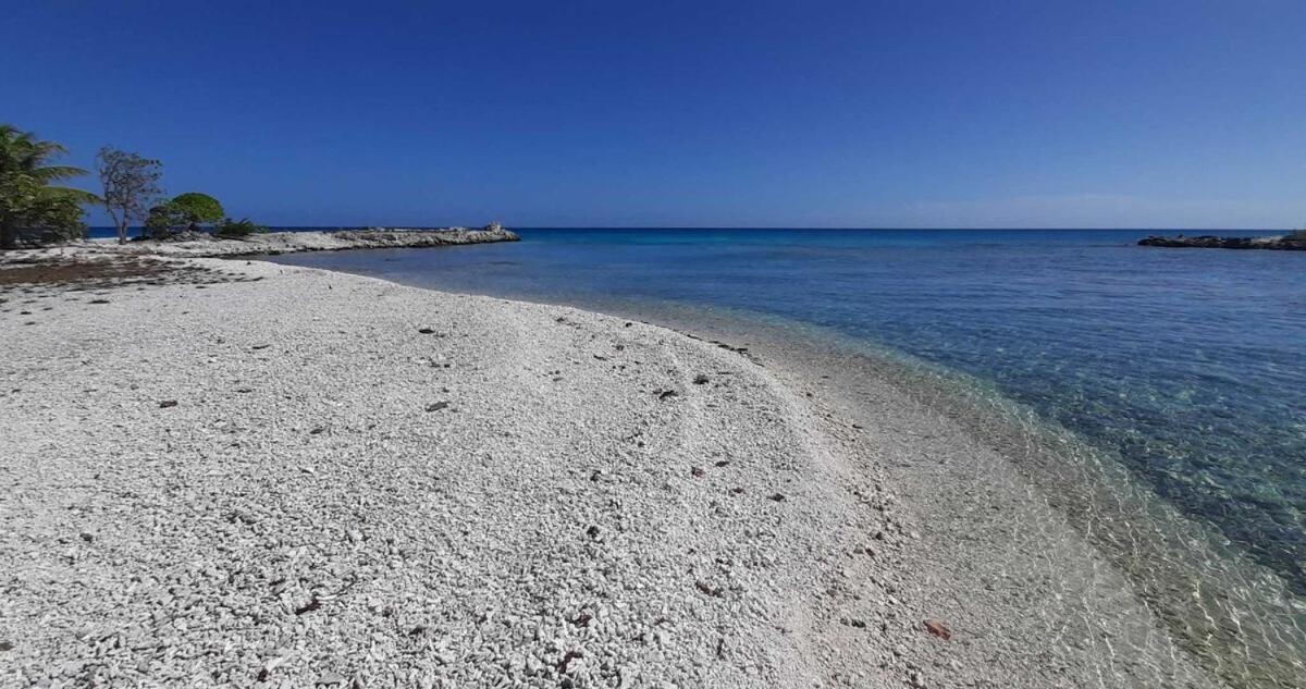 Tiputa Moana Breeze Rangiroa - Rental Car Included - Air Conditioning - Wi-Fi الغرفة الصورة